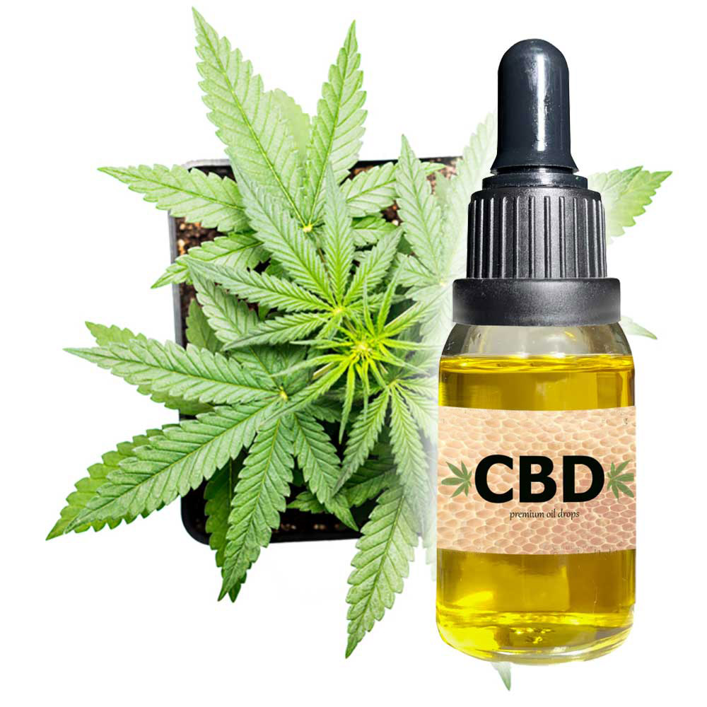 How Can CBD Oil Help You Out? | My Chill Thoughts